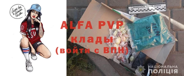 дживик Пересвет