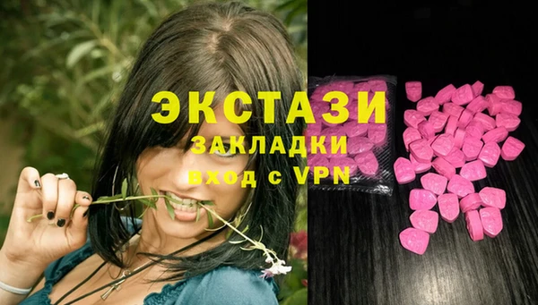 ECSTASY Алзамай