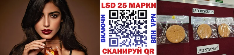 Купить закладки  Верхняя Пышма  Марки N-bome 1,8мг 